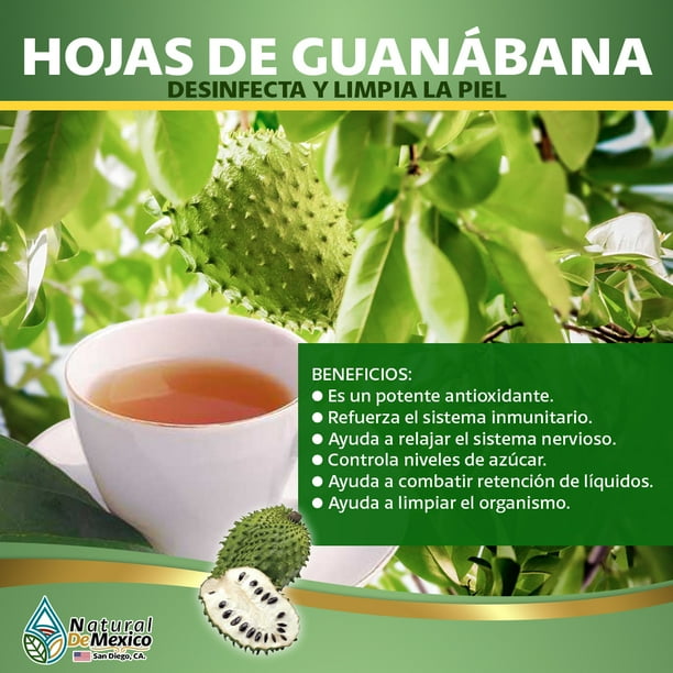 HOJAS DE GUANABANA HERB TEA LEAVES GRAVIOLA 100% NATURAL