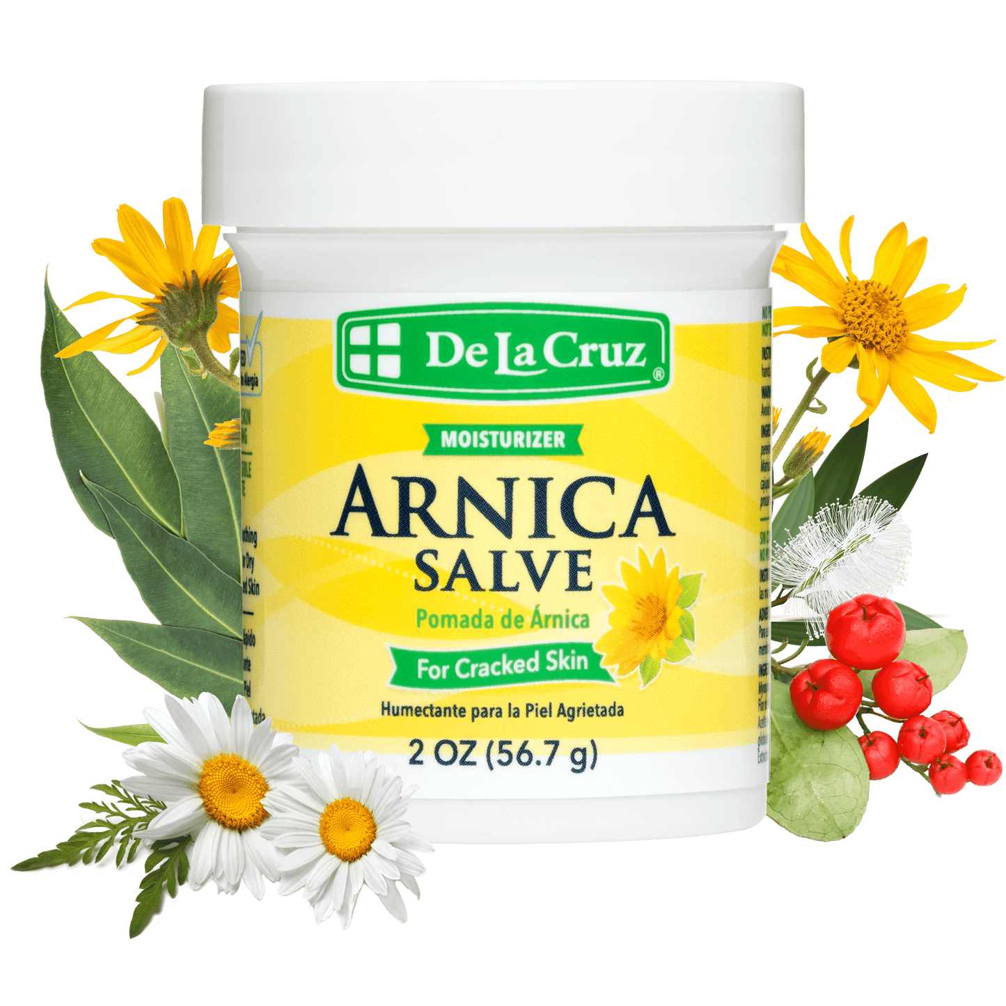 ARNICA SALVE MOISTURIZER