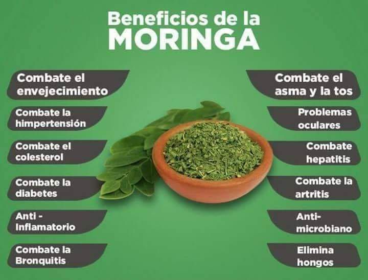 ELV X-GANEEM MORINGA + NEEM