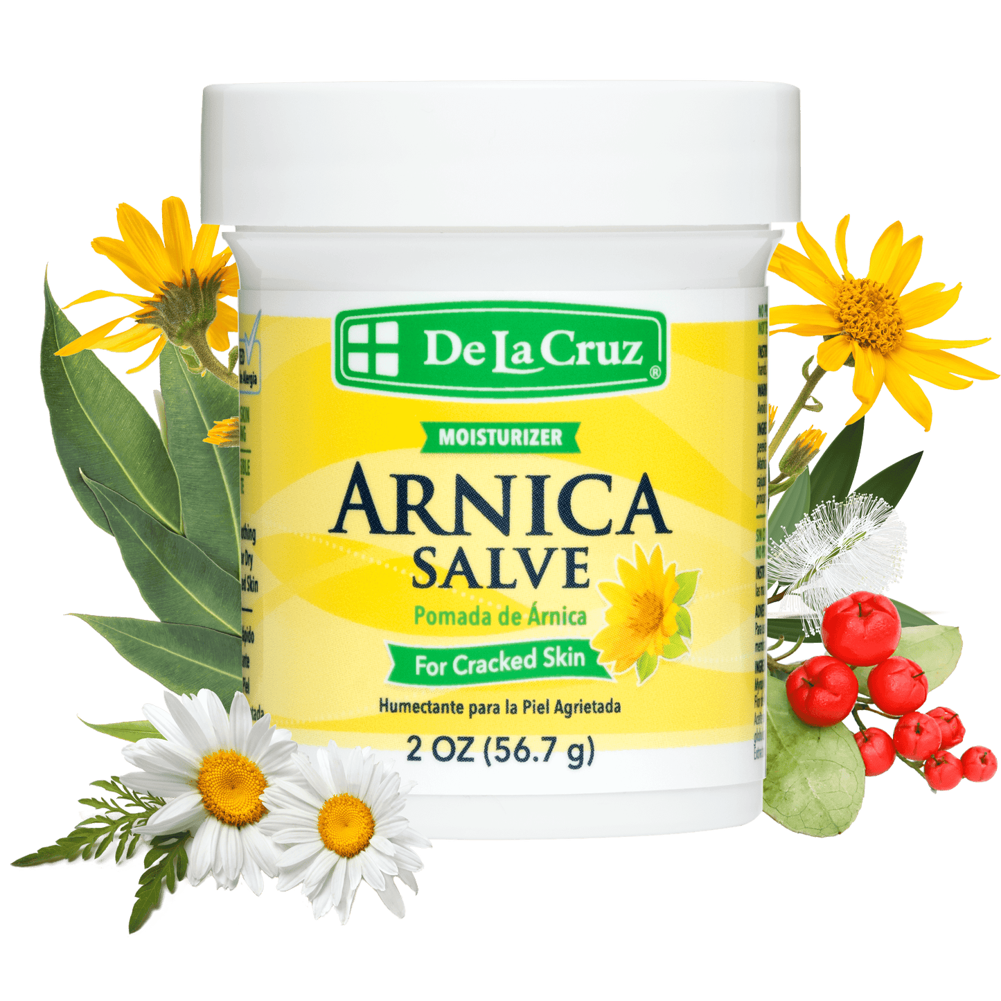 ARNICA SALVE MOISTURIZER