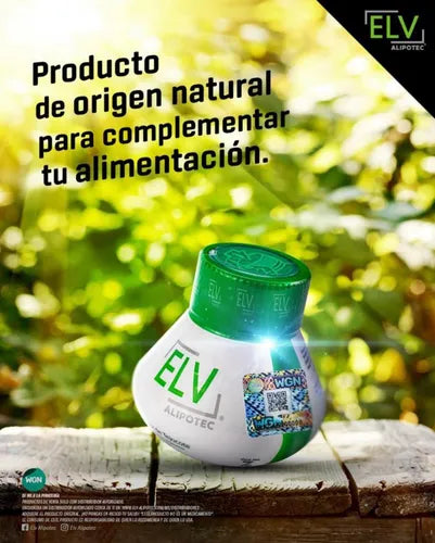 RAIZ DE TEJOCOTE MEXICANO ORIGINAL MEXICAN TEJOCOTE PLANT ROOT AUTHENTIC