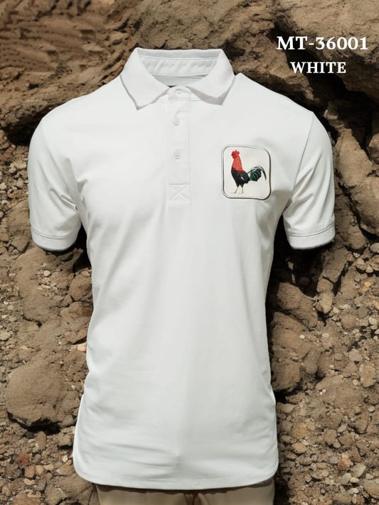 SPRING MODER FIT POLO SHIRT