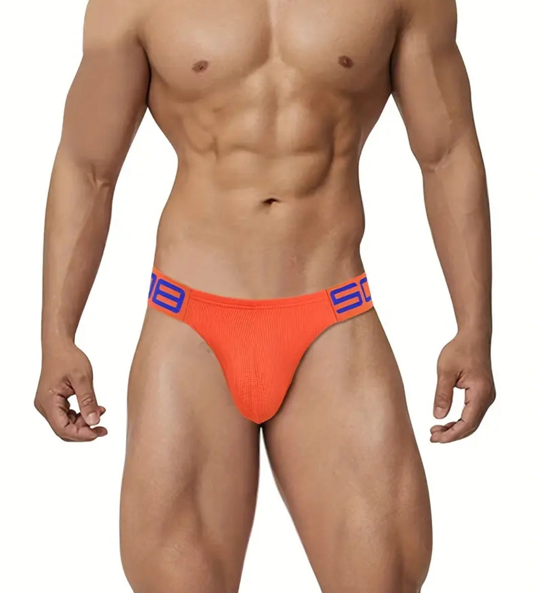 MESH BREATHABLE COMFORTABLE BRIEF