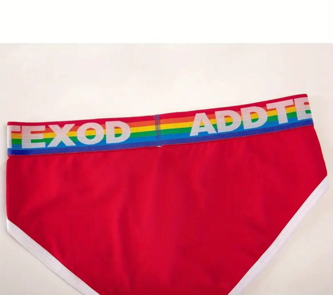 MEN RAINBOW STRIP BELT BRIEF